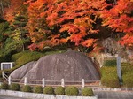 霞ヶ城公園kasumigajyo park12